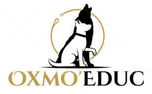 Logo Oxmo'Educ